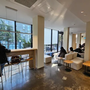 할로우 리뷰 사진