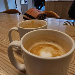 할로우 사진