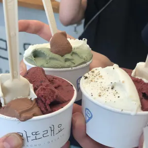 라또래요 사진