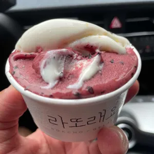 라또래요 사진