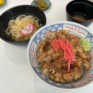 코카모메 사진