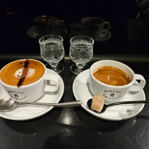 바이러닉 에스프레소바 사진