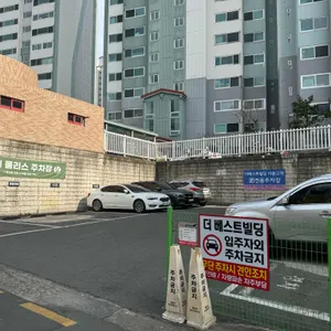 카페 몰리스 리뷰 사진