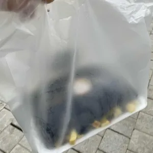 또또꼬마김밥 사진