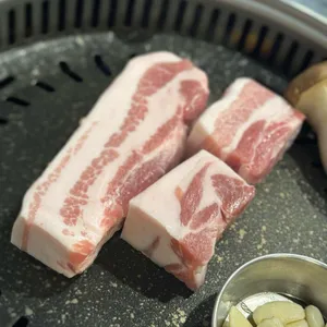 도톰 사진