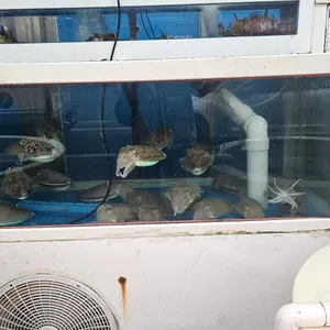 초심회포차 리뷰 사진