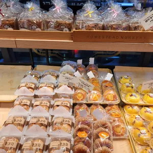 비엔씨 리뷰 사진