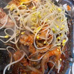 돈찌 사진