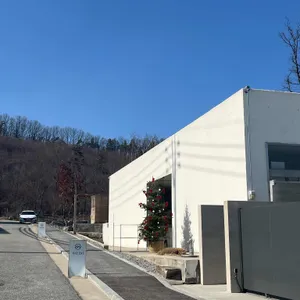 사네 리뷰 사진