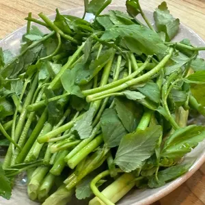 통돼지네 사진