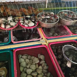 청해조개구이 리뷰 사진