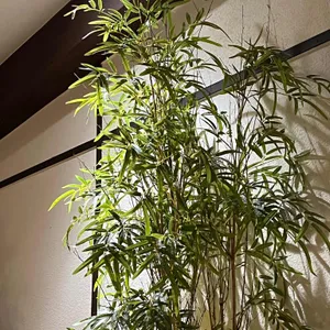 소설원 리뷰 사진