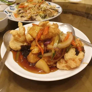 매화 사진