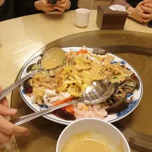 매화 사진