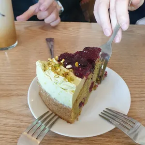 플랜트 사진