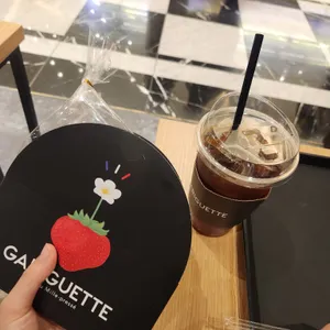 가리게트 사진