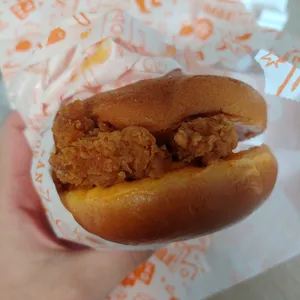 파파이스 사진