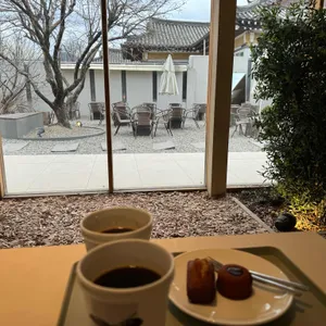 올리브 사진