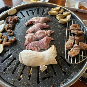 원갈매기 사진