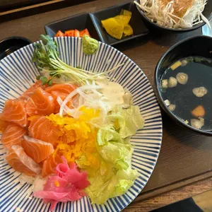진돈 사진
