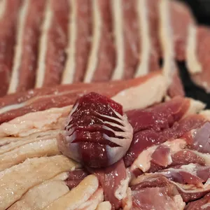 돌마리 유황오리 사진