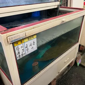지업사횟집 리뷰 사진
