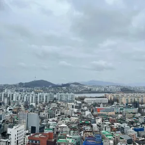 텔러스 9.5 리뷰 사진