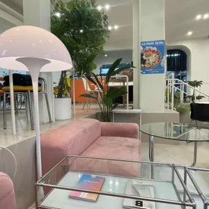 틴틴 리뷰 사진