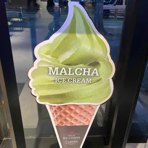 폴 바셋 리뷰 사진