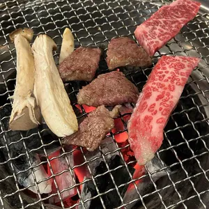 김사부 사진