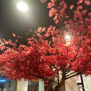 대패상회 리뷰 사진