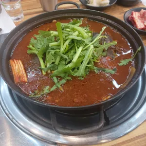성난 물고기 사진