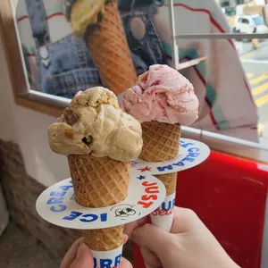 뵈르뵈르 리뷰 사진