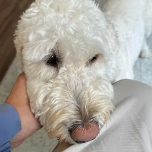 슬쩍 대표 사진