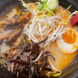 코하루 사진