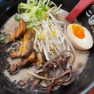 코하루 사진