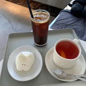 인트라던 사진