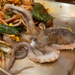 종로진낙지 사진