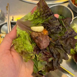 빽돈 사진