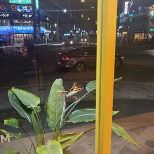 메가커피 리뷰 사진