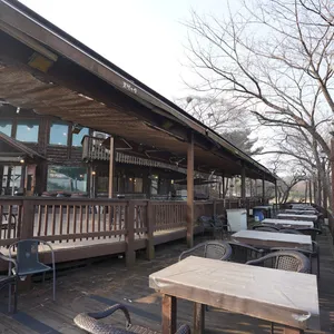 로빈의숲 리뷰 사진