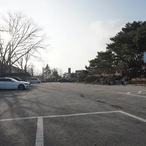 로빈의숲 리뷰 사진