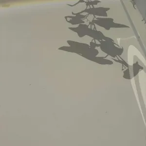 리요리요커피 리뷰 사진