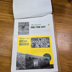 파인에이플러스 리뷰 사진