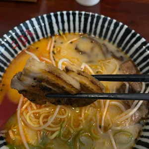 코하루 사진