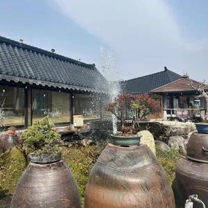 담양애꽃 리뷰 사진