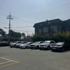 담양애꽃 리뷰 사진