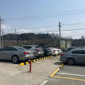담양애꽃 리뷰 사진