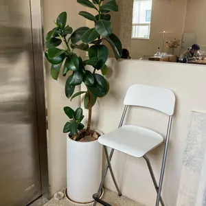 카페2.7 리뷰 사진