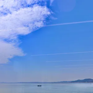 브레댄코 리뷰 사진